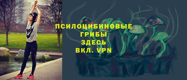 PSILOCYBIN Нязепетровск